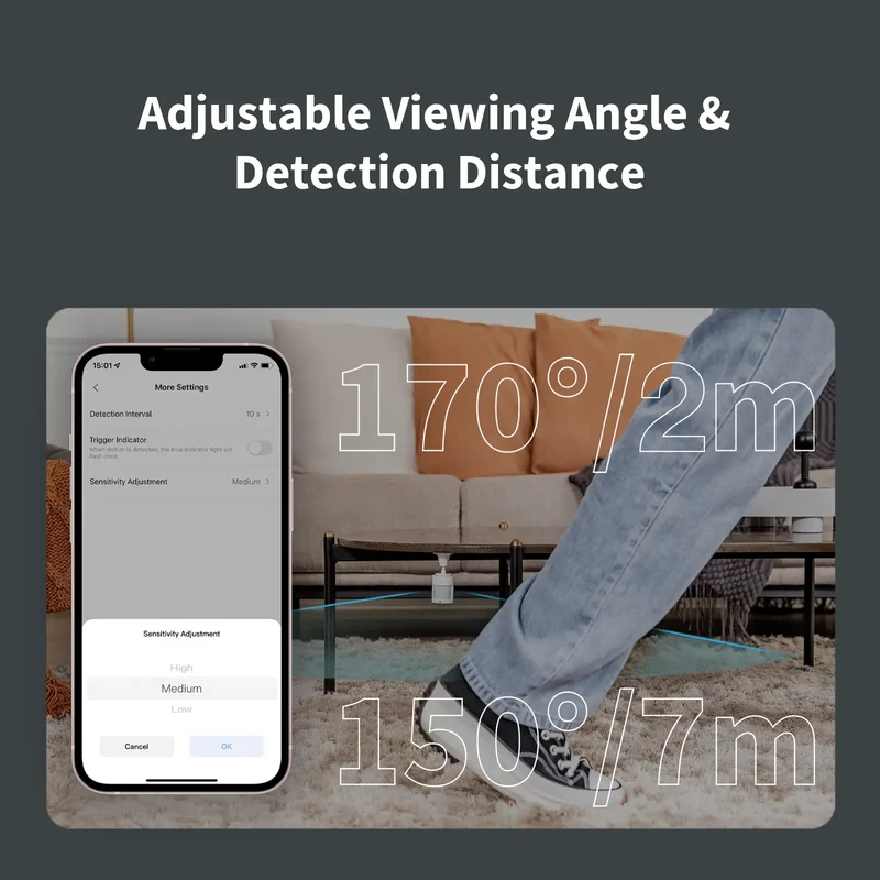 Motion Sensor P1