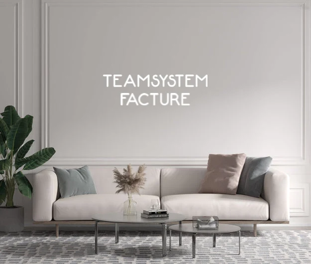 Custom text: TEAMSYSTEM FACTURE