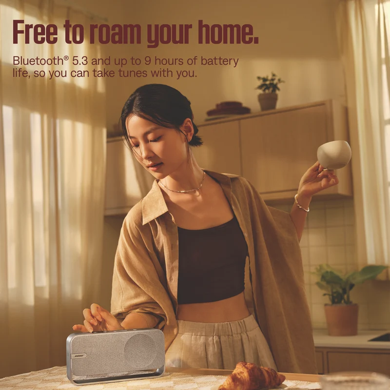 Bose SoundLink Home Bluetooth Speaker - Light Silver