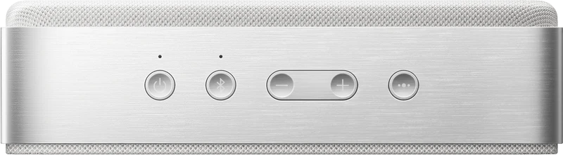 Bose SoundLink Home Bluetooth Speaker - Light Silver