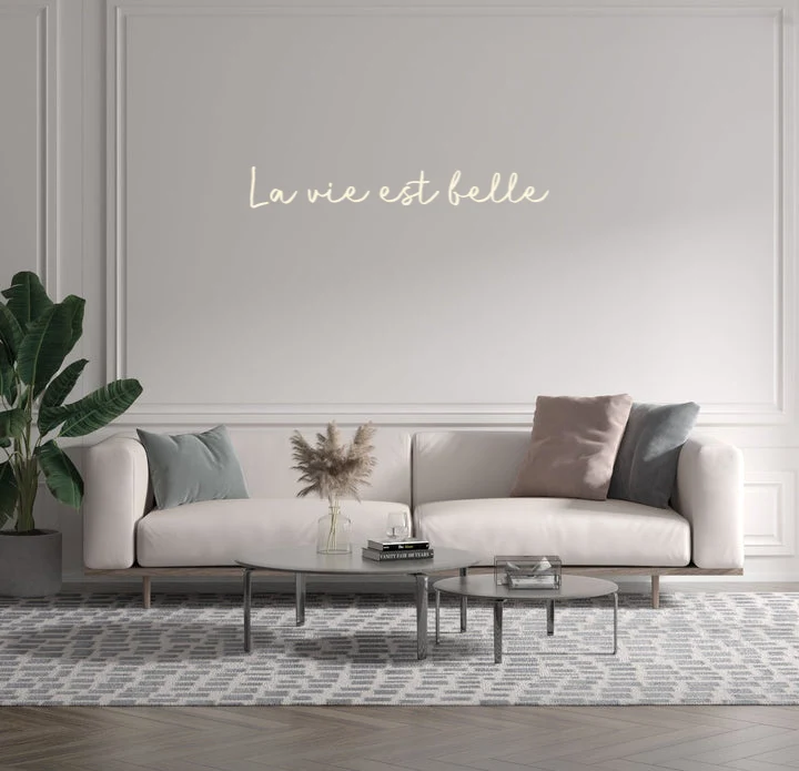 Custom text: La vie est belle