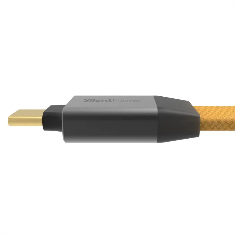 iFi Pulsar USB | USB-C Cable with ANC