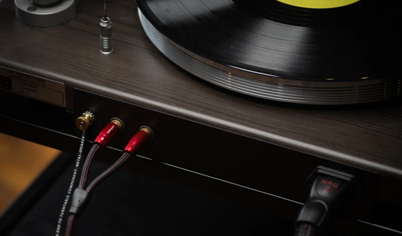 AudioQuest Golden Gate Turntable | RCA Turntable Cable + Ground Wire