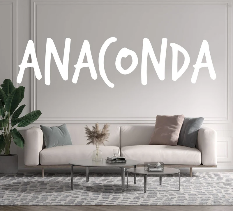 Custom text: anaconda