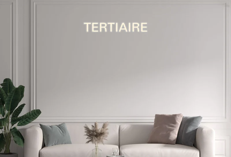 Custom text: TERTIAIRE