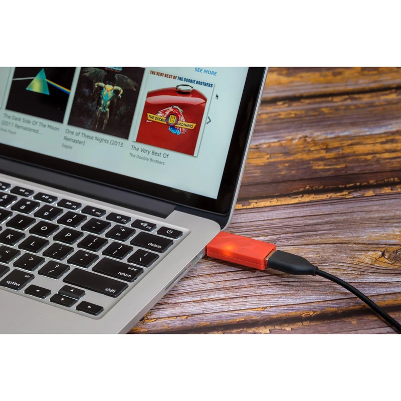 iFi iDefender+ | USB Ground Loop Breaker