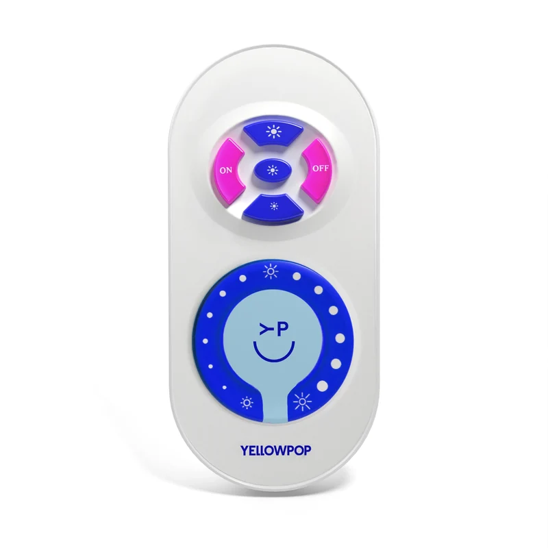 Télécommande et Variateur pour néon LED
