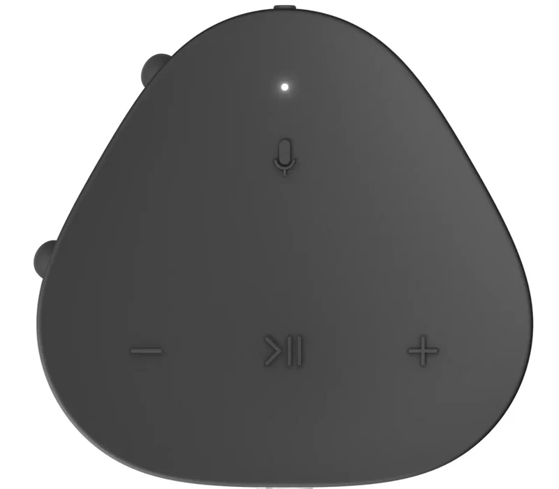 Haut-Parleur portatif Sonos ROAM