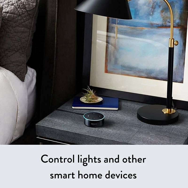 Smart Home Voice Control- Amazon Echo Dot