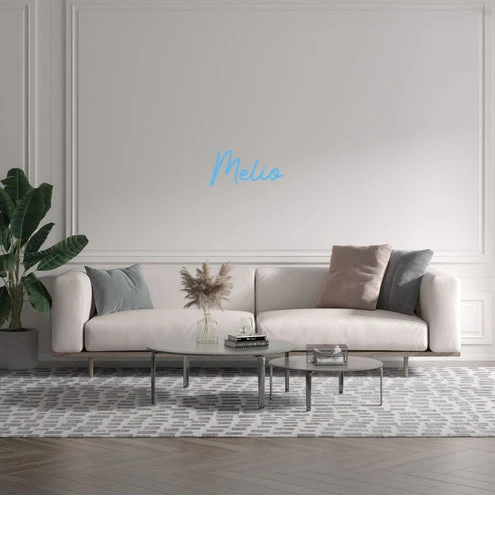Custom text: Melio