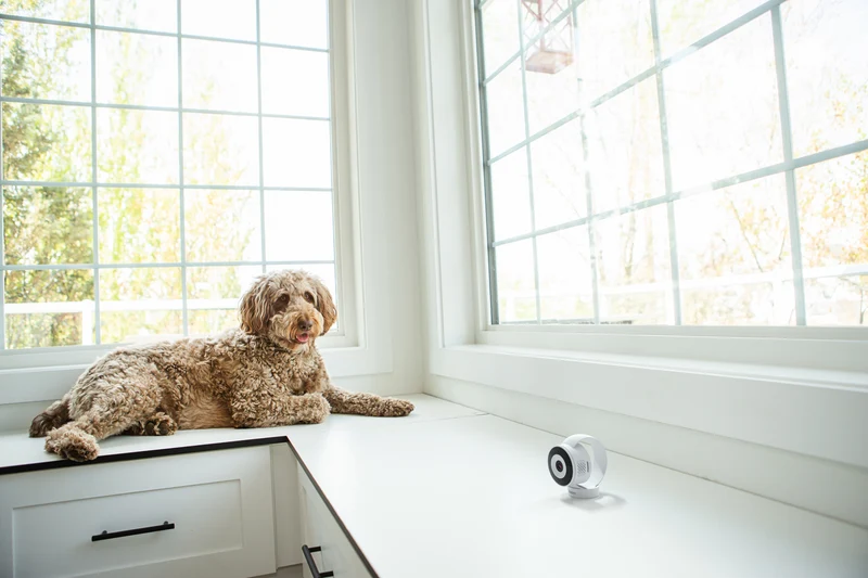 Uniden 2K Indoor Camera (White)