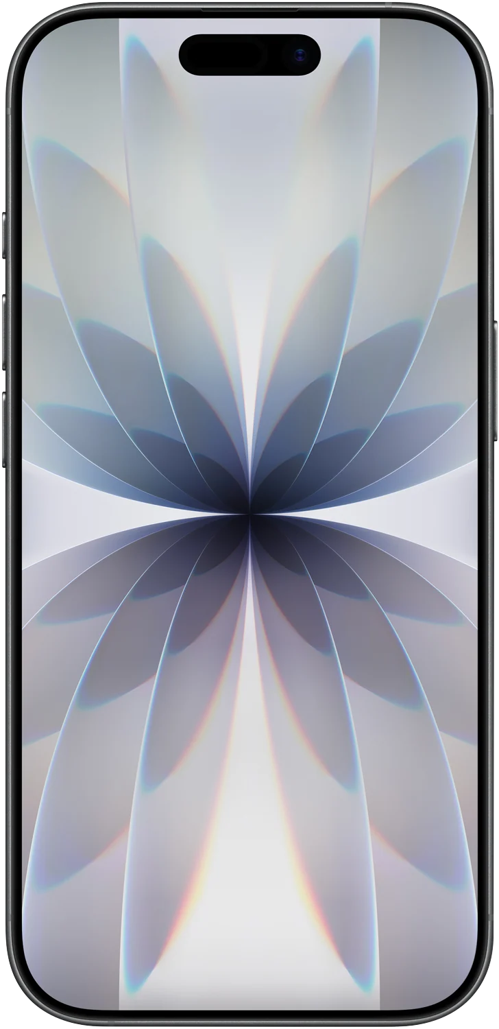 Apple iPhone 17 256GB Black