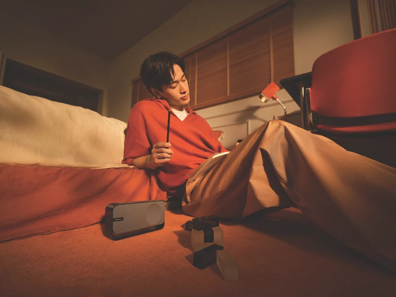 Bose SoundLink Home Bluetooth Speaker - Cool Gray