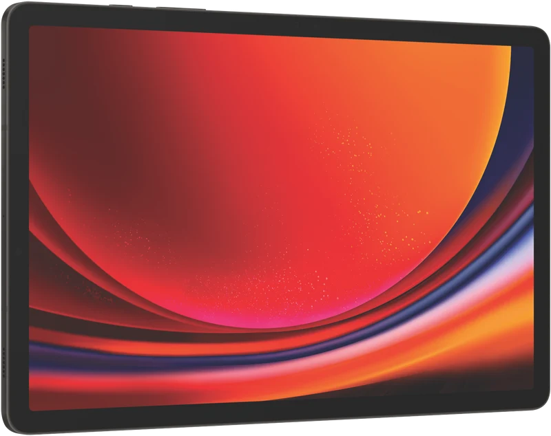 Samsung Galaxy Tab S9 Wi-Fi 256GB - Graphite