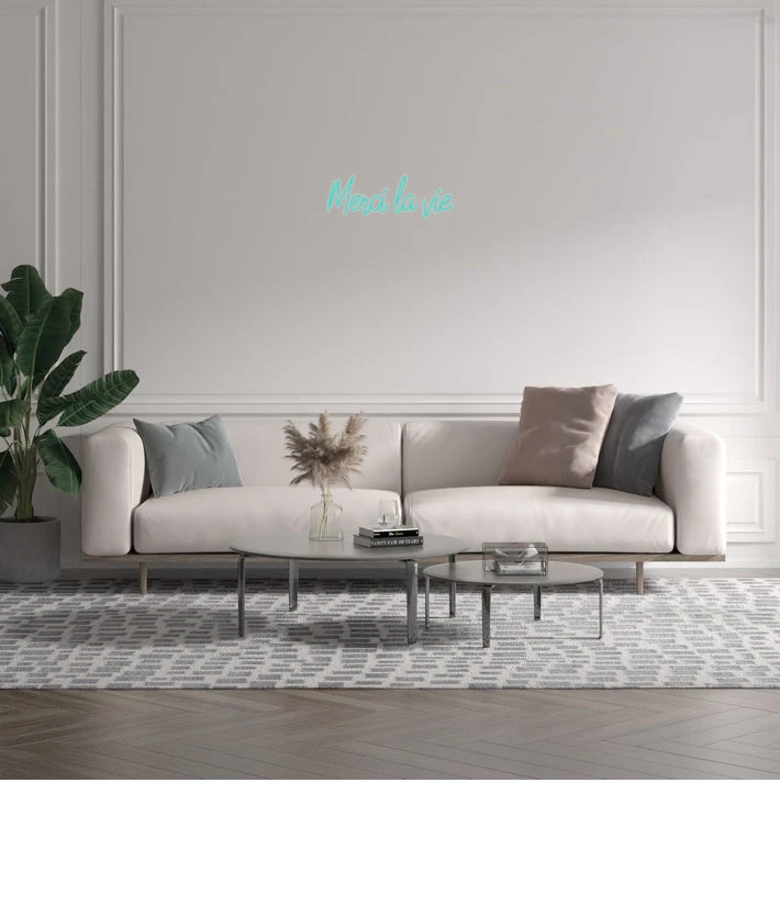 Custom text: Merci la vie
