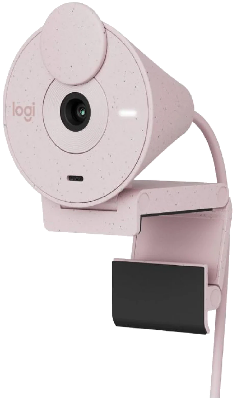 Logitech Brio 300 Full HD webcam (Rose)