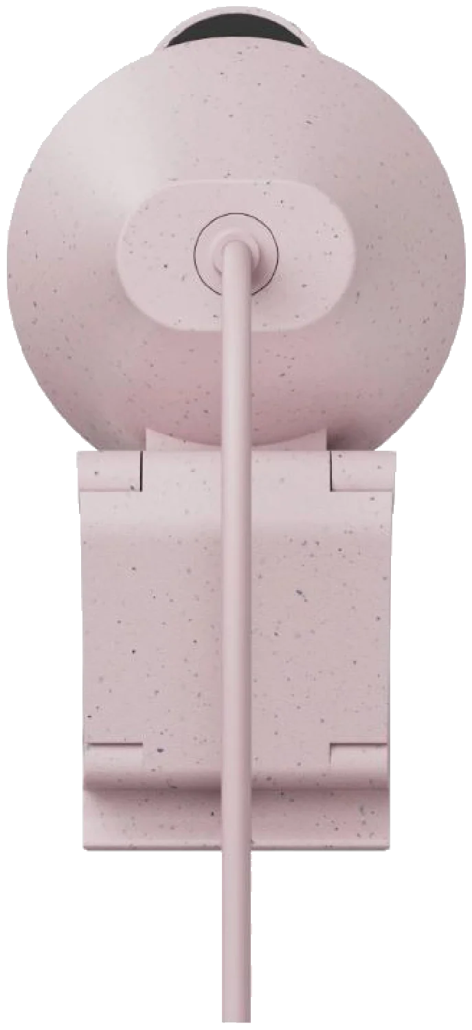 Logitech Brio 300 Full HD webcam (Rose)