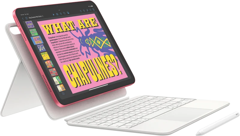 Apple iPad 11" (A16) Wi-Fi + Cellular 256GB - Pink