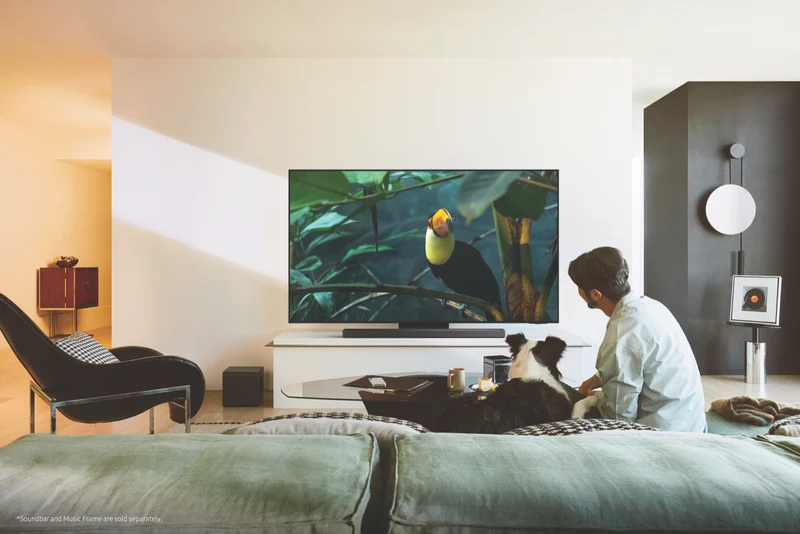 Samsung 65" OLED S95F 4K Vision AI Smart TV 2025