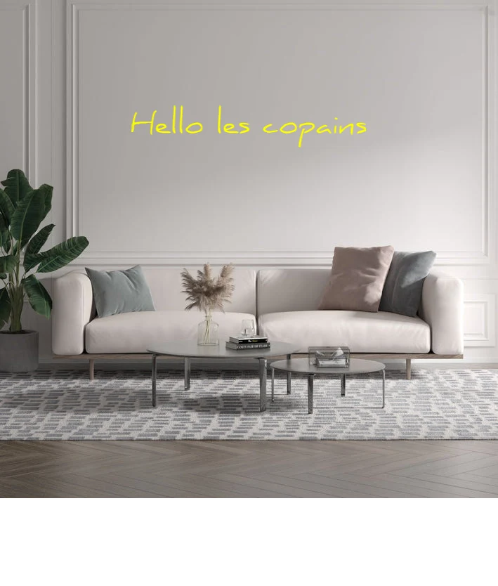 Custom text: Hello les copains
