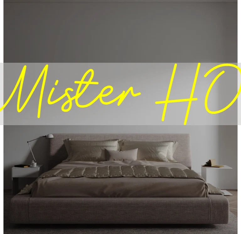 Custom text: Mister HO.