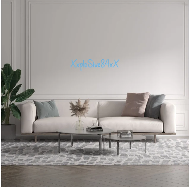 Custom text: XxploSive84xX