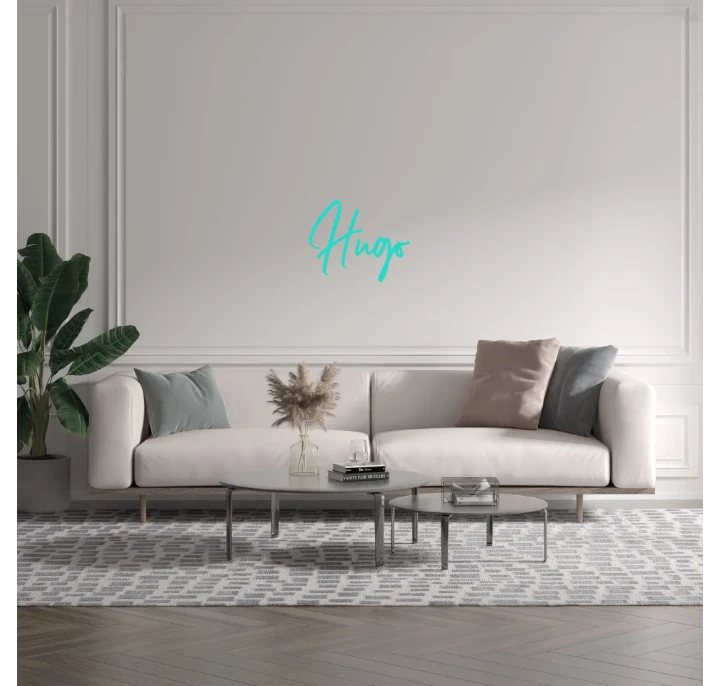 Custom text: Hugo