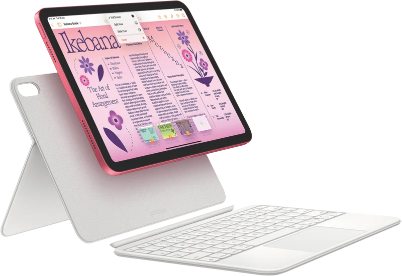 Apple iPad 10.9" (10th Gen) Wi-Fi 256GB - Pink